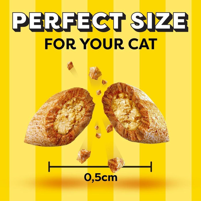 Dreamies Cat Treats, Tasty Snacks with Tempting Chicken 60g